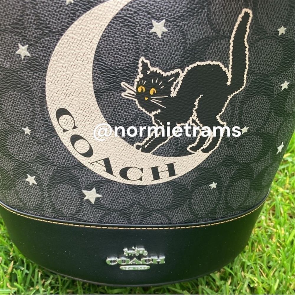 Trick Or Treat Bucket In Signature Canvas With Halloween Black Cat Graphic Bag - Picture 3 of 7